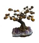 Tiger's eye A Tree of Life on Geode