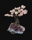 Rose Quartz A Tree of Life on Geode