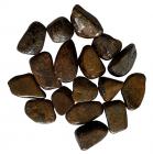 Bronzite AB pierres roulées 250g