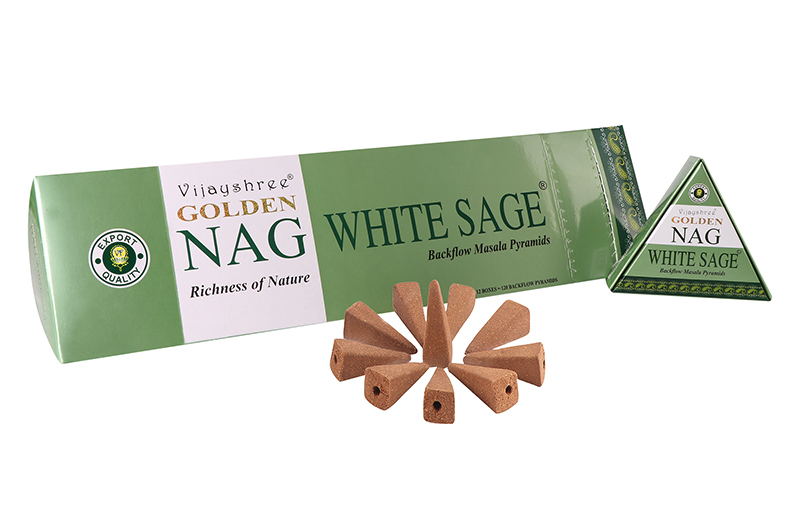 Conos de reflujo Vijayshree Golden Nag White Sage 12 piezas