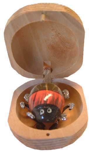 Boite coccinelle x10