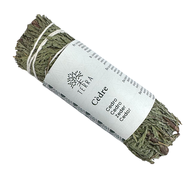 Cedre blanc (thuya) naturel 3x20g 12cm ficelles