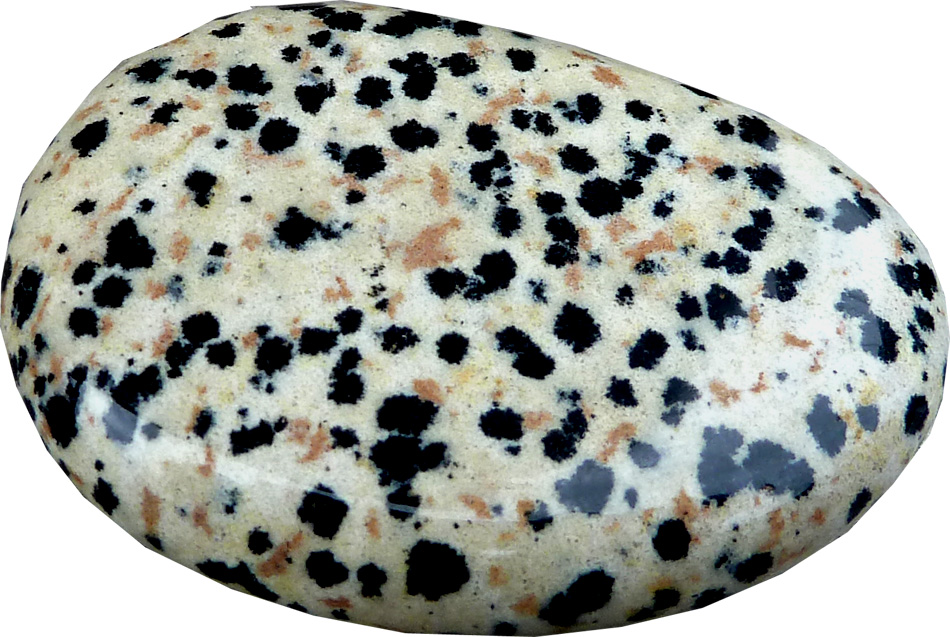 Jaspe Dalmatienne pazzo piatto 45g