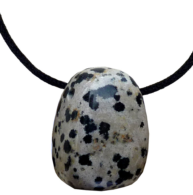 Jaspe dalmatien roulé percé 3cm