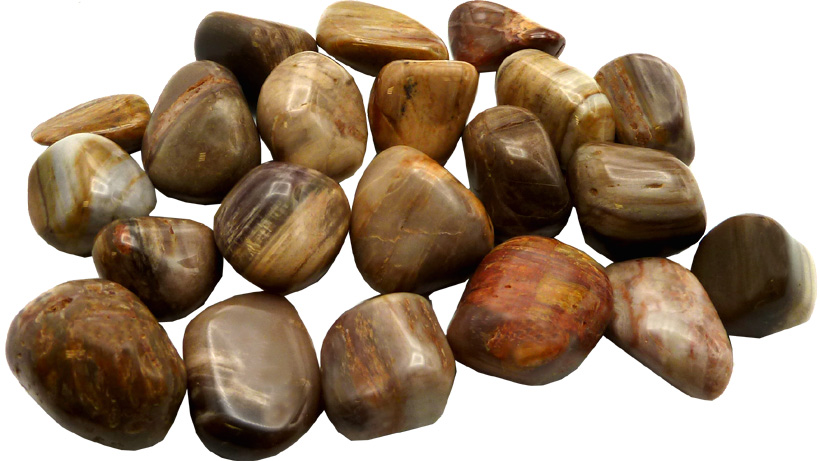 Fossil wood tumbled stones 250g