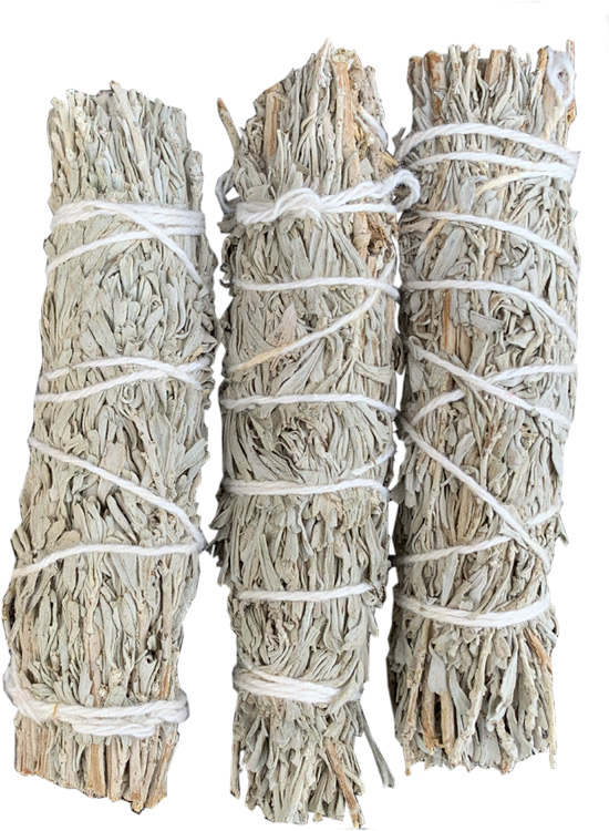 California Black sage 3x30g 12cm