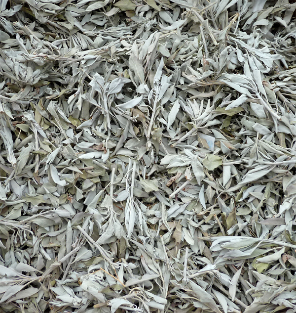 White californian sage 1KG