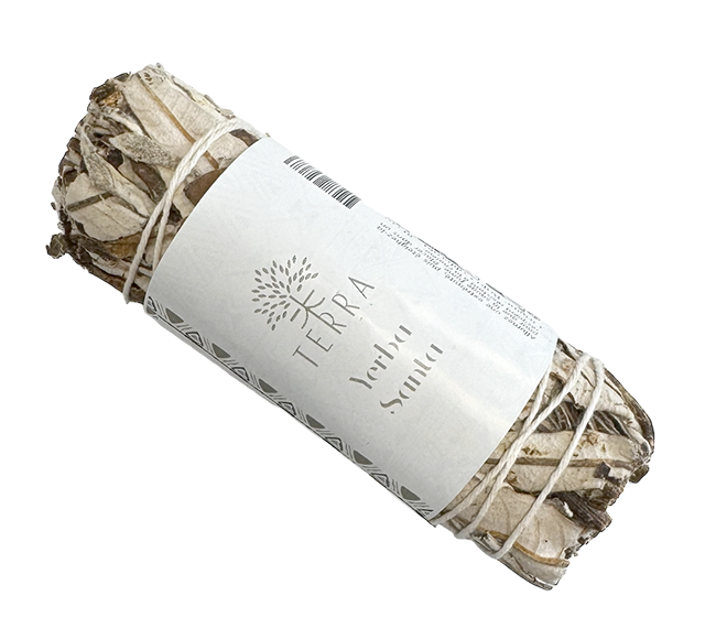 Sauge Yerba Santa californie 3x20g 12cm